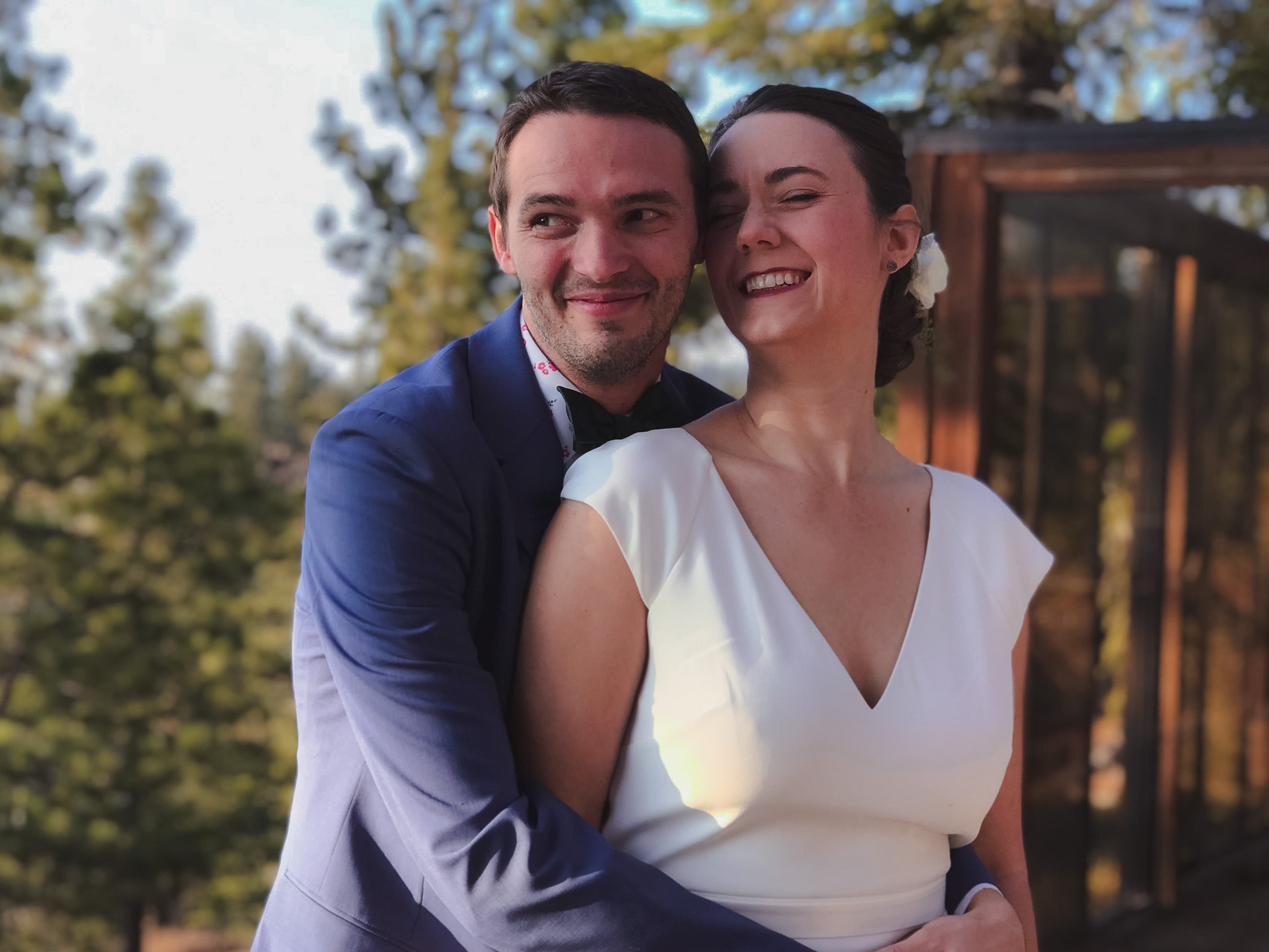 Destination elopement photographer — couple embracing in golden afternoon light surrounded by pine trees