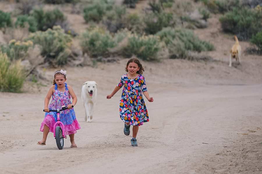 Two little girls in bright floral dresses racing down a dirt road on foot and on a balance bike, two dogs trotting behind