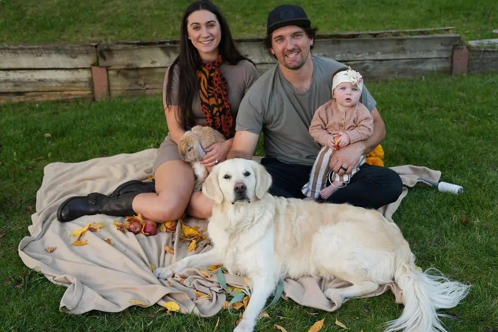 A couple with their baby and a golden retriever on a picnic blanket in the grass