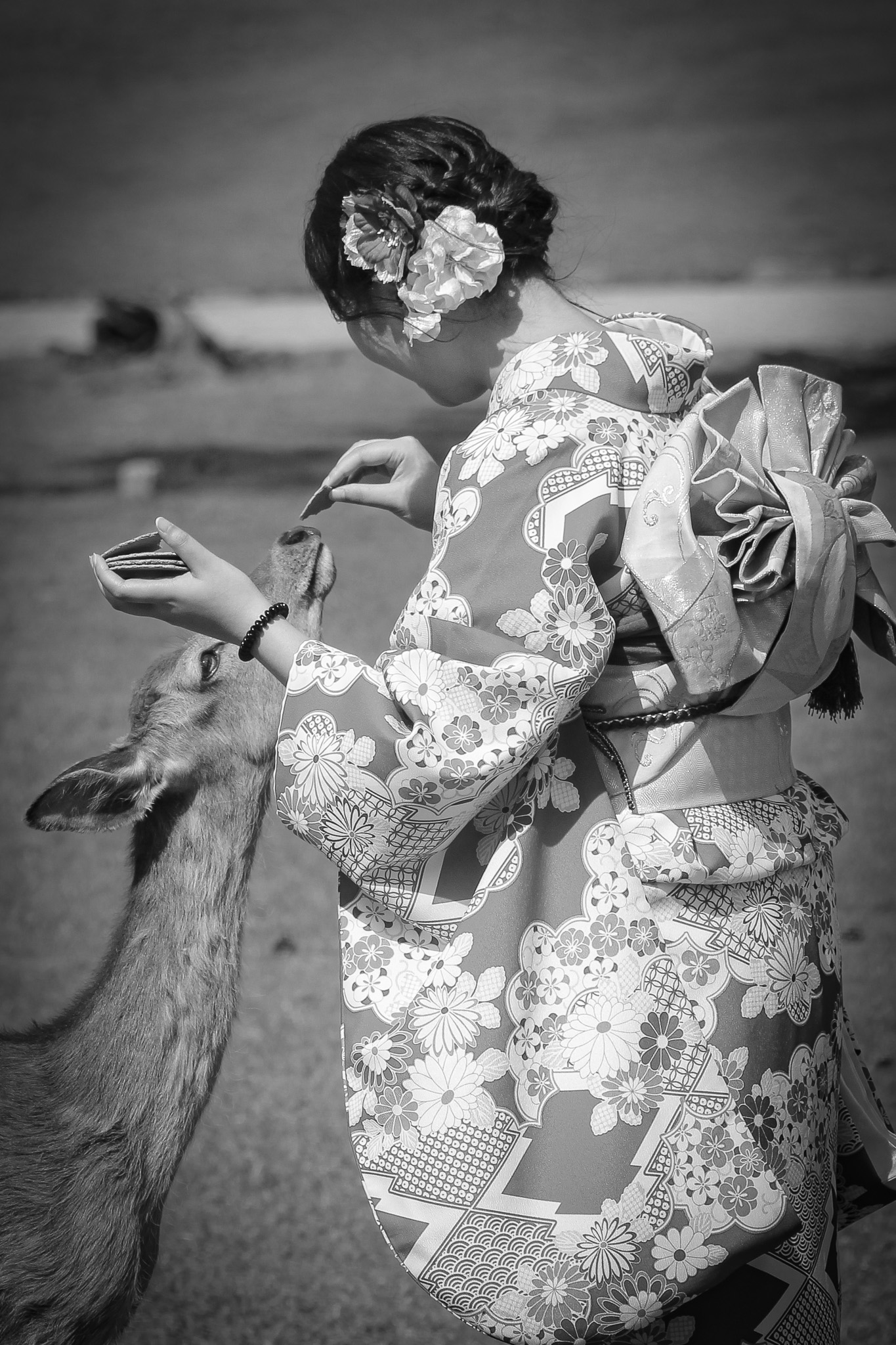 Woman in traditional kimono feeding a deer in Nara, Japan